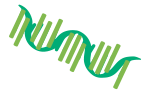 mRNA